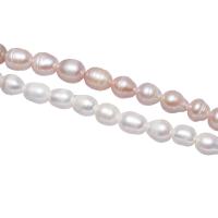 Krumpir Kulturan Slatkovodni Pearl perle, s troll, različitih stilova za izbor, Rupa:Približno 2mm, Prodano Per Približno 15.3 inčni Strand