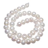 Krumpir Kulturan Slatkovodni Pearl perle, s troll, različite veličine za izbor, bijel, Prodano Per 15 inčni Strand