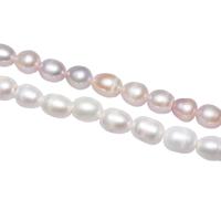 Krumpir Kulturan Slatkovodni Pearl perle, s troll, različitih stilova za izbor, više boja za izbor, 10-11mm, Prodano By Strand