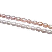 Krumpir Kulturan Slatkovodni Pearl perle, s troll, više boja za izbor, 9-10mm, Rupa:Približno 2mm, Prodano By Strand