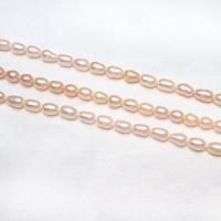 Coirníní Rice saothraithe Diúilicín Péarla, Pearl Fionnuisce, Rís, nádúrtha, stíleanna éagsúla do rogha, 4-5mm, Poll:Thart 0.8mm, Díolta De réir Snáithe