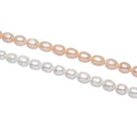 Cultured Potato Freshwater Pearl Beads natural 7-8mm Approx 0.8mm Sold By Strand