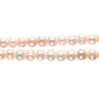 Krumpir Kulturan Slatkovodni Pearl perle, s troll, više boja za izbor, 10-11mm, Rupa:Približno 2.5mm, Prodano Per 15 inčni Strand