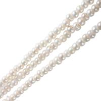 Kartoffel Süßwasser Zuchtperlen, Natürliche kultivierte Süßwasserperlen, natürlich, keine, 10-11mm, Bohrung:ca. 3mm, verkauft von Strang