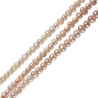 Cultured Potato Freshwater Pearl Beads natural purple 7-8mm Approx 0.8mm Sold By Strand