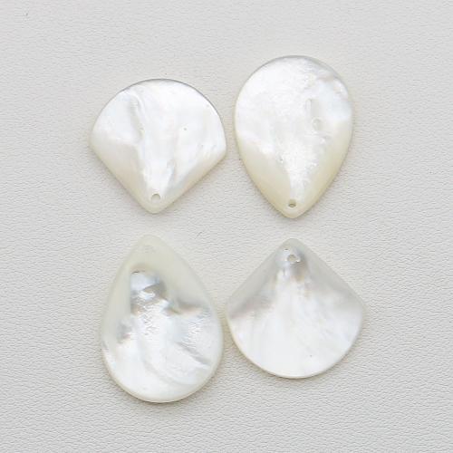 Pingentes de concha branca natural, White Lip Shell, DIY, branco, vendido por PC