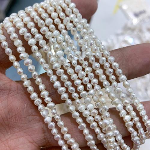 Barokowe koraliki z hodowlanych pereł słodowodnych, Perła naturalna słodkowodna, DIY, biały, 2-3MM, sprzedane przez Strand