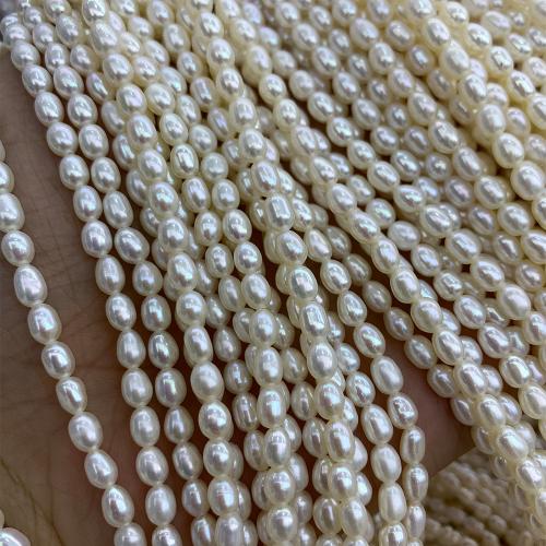 Riso coltivato in perla d'acqua dolce, perla d'acquadolce coltivata naturalmente, DIY, bianco, 4+5MM, Venduto per 37 cm filo