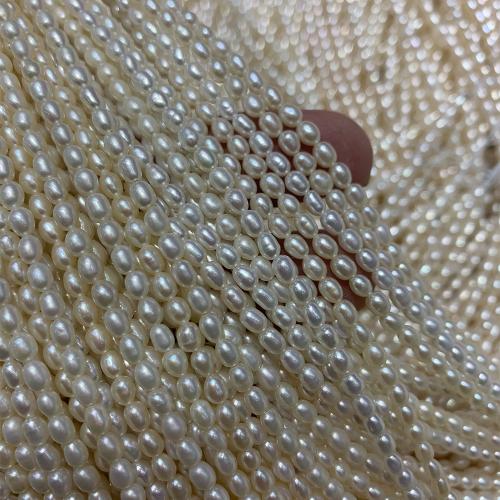 Ryżowe koraliki z pereł hodowlanych słodkowodnych, Perła naturalna słodkowodna, DIY, biały, 3-4MM, sprzedawane na 37 cm Strand