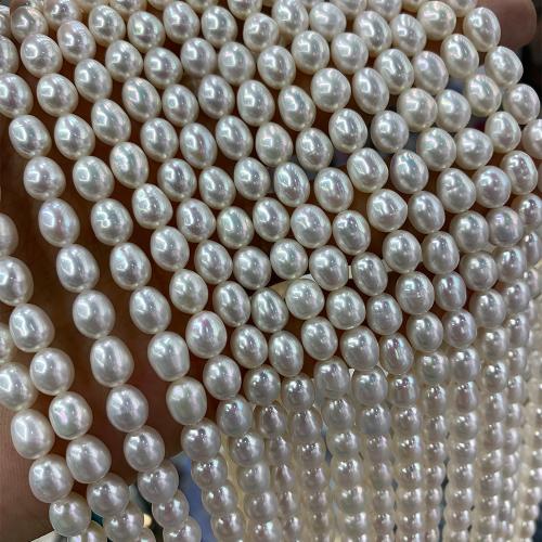 Riso coltivato in perla d'acqua dolce, perla d'acquadolce coltivata naturalmente, DIY, bianco, 7-8MM, Venduto per 37 cm filo