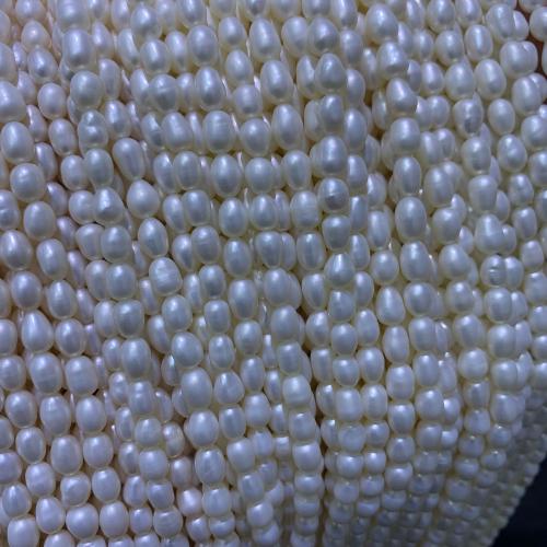 Riso coltivato in perla d'acqua dolce, perla d'acquadolce coltivata naturalmente, DIY, bianco, 4-5mm, Venduto per 36 cm filo