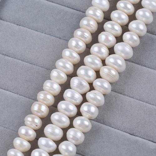 Natural Freshwater Pearl Loose Beads Flat Round DIY white 11-12mm Sold Per 36 cm Strand
