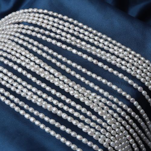 Ryżowe koraliki z pereł hodowlanych słodkowodnych, Perła naturalna słodkowodna, DIY, biały, 3-3.5mm, długość 37 cm, sprzedane przez PC