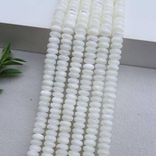 Início Shell Contas ábaco, DIY, branco, vendido para 38 cm Strand