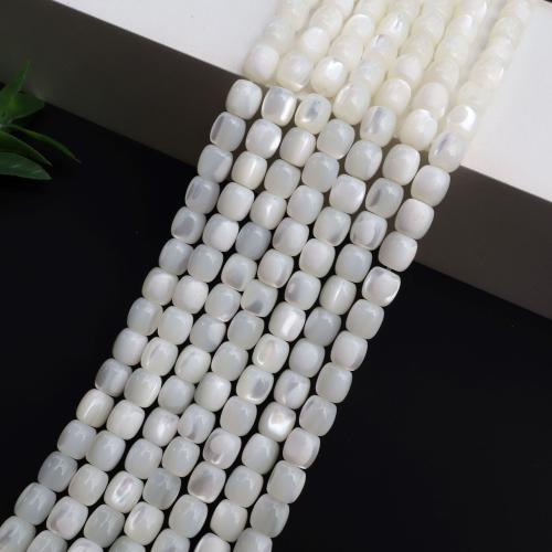 Início Shell grânulos, miçangas, DIY, branco, vendido para 38 cm Strand
