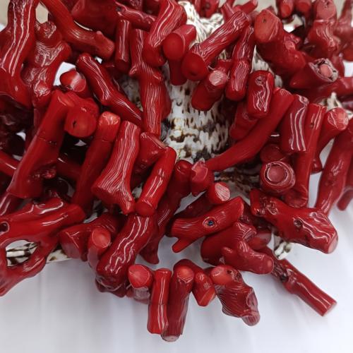 Sea Bamboo Coral Beads Dyed Bamboo Coral DIY red 10-50mm Sold By KG