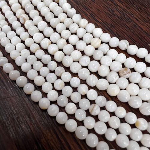 Naturliga sötvattensSnäckskalsPärlor, Sötvatten Shell, Rund, 10x10mm, Säljs av Strand