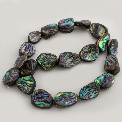 Abalone -Shell-Beads, conchiglia Abalone, DIY, 17x11mm, Venduto per Appross. 15.35 pollice filo