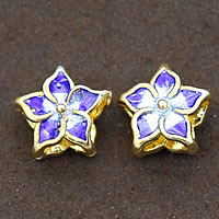 Plata perlas Cloisonne