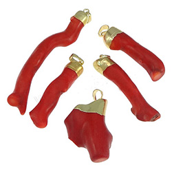 Coral Pendants