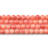 Natural Freshwater Shell Beads