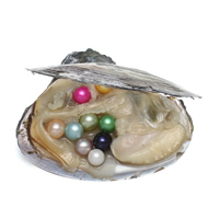 Oyster Pearl słodkowodne hodowlane miłość życzeń