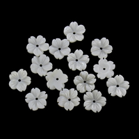 White Lip Shell Beads