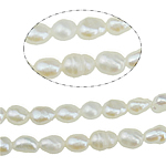 Perles d'eau douce de culture de riz, perle d'eau douce cultivée, naturel, blanc, grade A, 2-3mm, Trou:Environ 0.8mm, Vendu par Environ 15 pouce brin