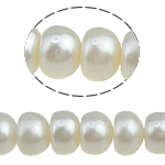 Button Gekweekte Zoetwater Parel kralen, wit, 8-9mm, Gat:Ca 0.8mm, Per verkocht 15.5 inch Strand