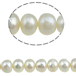 Button Gekweekte Zoetwater Parel kralen, wit, 7-8mm, Gat:Ca 0.8mm, Per verkocht 15.5 inch Strand