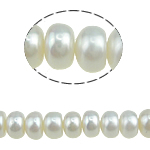 Tlačítko kultivované sladkovodní Pearl Beads, bílý, 7-8mm, Otvor:Cca 0.8mm, Prodáno za Cca 15 inch Strand