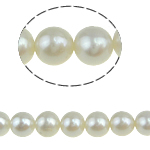 Runda odlad sötvattenspärla pärlor, Freshwater Pearl, naturlig, vit, Grade AA, 6-7mm, Hål:Ca 0.8mm, Såld Per 15.5 inch Strand