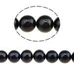 Perles de nacre rondes de culture d'eau douce, perle d'eau douce cultivée, naturel, noire, Niveau AA, 9-10mm, Trou:Environ 0.8mm, Vendu par 15 pouce brin