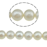 Perlas Redondas Freshwater, Perlas cultivadas de agua dulce, Esférico, natural, Blanco, Grado AA, 9-10mm, agujero:aproximado 0.8mm, Vendido para 15 Inch Sarta