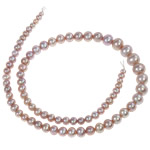 Perles de nacre rondes de culture d'eau douce, perle d'eau douce cultivée, naturel, rose, Niveau AA, 3.5-9mm, Trou:Environ 0.5mm, Vendu par 15.5 pouce brin