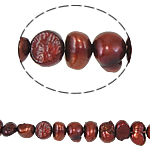 Barok ferskvandskulturperle Beads, Ferskvandsperle, rød kaffe farve, 4-5mm, Hole:Ca. 0.8mm, Solgt Per 14 inch Strand