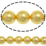 South Sea Shell Helmet, Pyöreä, keltainen, 12mm, Reikä:N. 0.5mm, 34PC/Strand, Myyty Per 16 tuuma Strand