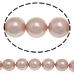 South Sea Shell Kralen, Ronde, roze, 14mm, Gat:Ca 1mm, 27pC's/Strand, Per verkocht 16 inch Strand