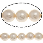 South Sea Shell Helmet, Pyöreä, 12mm, Reikä:N. 0.5mm, 33PC/Strand, Myyty Per 16 tuuma Strand