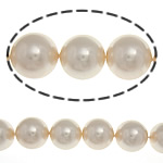 South Sea Shell Helmet, Pyöreä, Samppanja, 14mm, Reikä:N. 1mm, 28PC/Strand, Myyty Per 15.5 tuuma Strand