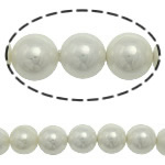 South Sea Shell Helmet, Pyöreä, valkoinen, 12mm, Reikä:N. 0.5mm, 33PC/Strand, Myyty Per 16 tuuma Strand