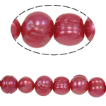 Perles nacres pommes de terre de culture d'eau douce, perle d'eau douce cultivée, pomme de terre, naturel, rouge, grade A, 5-6mm, Trou:Environ 0.8mm, Vendu par 15 pouce brin