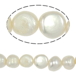 Krumpir Kulturan Slatkovodni Pearl perle, prirodan, bijel, ocjena, 9-10mm, Rupa:Približno 0.8mm, Prodano Per 14.5 inčni Strand