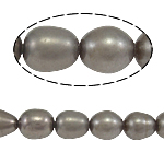 Rýže kultivované sladkovodní perle, Sladkovodní Pearl, přírodní, šedá, Grade, 5-6mm, Otvor:Cca 0.8mm, Prodáno za 14.5 inch Strand