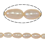 Rýže kultivované sladkovodní perle, Sladkovodní Pearl, přírodní, růžový, Grade, 5-6mm, Otvor:Cca 0.8mm, Prodáno za 14.5 inch Strand