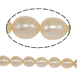 Rýže kultivované sladkovodní perle, Sladkovodní Pearl, přírodní, růžový, Grade, 6-7mm, Otvor:Cca 0.8mm, Prodáno za 14.5 Strand