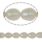 Perles d'eau douce de culture de riz, perle d'eau douce cultivée, naturel, blanc, grade A, 8-9mm, Trou:Environ 0.8mm, Vendu par 15 pouce brin