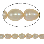 Rýže kultivované sladkovodní perle, Sladkovodní Pearl, přírodní, růžový, Grade, 8-9mm, Otvor:Cca 0.8mm, Prodáno za 15 inch Strand