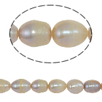 Ris odlad sötvattenspärla pärlor, Freshwater Pearl, naturlig, rosa, Grade A, 8-9mm, Hål:Ca 0.8mm, Såld Per 14.5 inch Strand