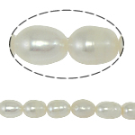 Perles d'eau douce de culture de riz, perle d'eau douce cultivée, naturel, blanc, grade A, 8-9mm, Trou:Environ 0.8mm, Vendu par 14.5 pouce brin